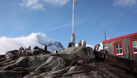 Contare i pinguini al Polo Sud: l’offerta di lavoro