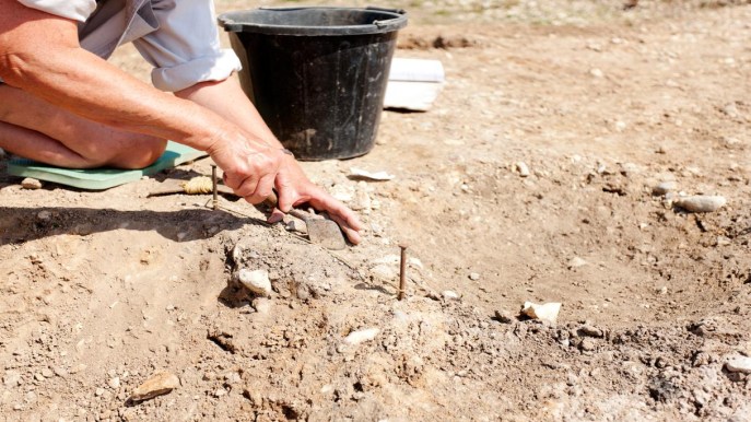 Un archeologo dilettante ha fatto una scoperta straordinaria
