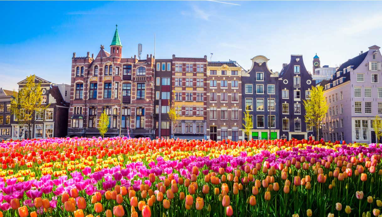 Fête des tulipes, Amsterdam