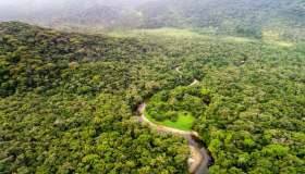 Scoperta sorprendente nella foresta: di cosa si tratta