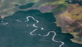 Bacino del Congo, la seconda foresta pluviale più grande del mondo