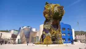 C’è un nuovo motivo per andare a Bilbao e si trova al Guggenheim Museum