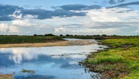 La Shannon Blueway è il percorso più bello e incontaminato d’Irlanda