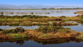 Orbetello_laguna