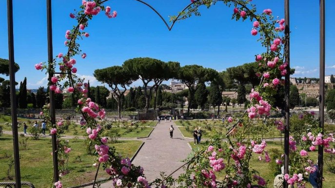 Sbocciano le rose nel giardino più romantico e antico d’Italia