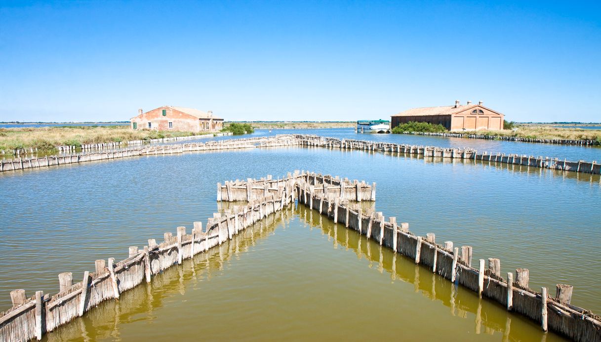 Valli di Comacchio