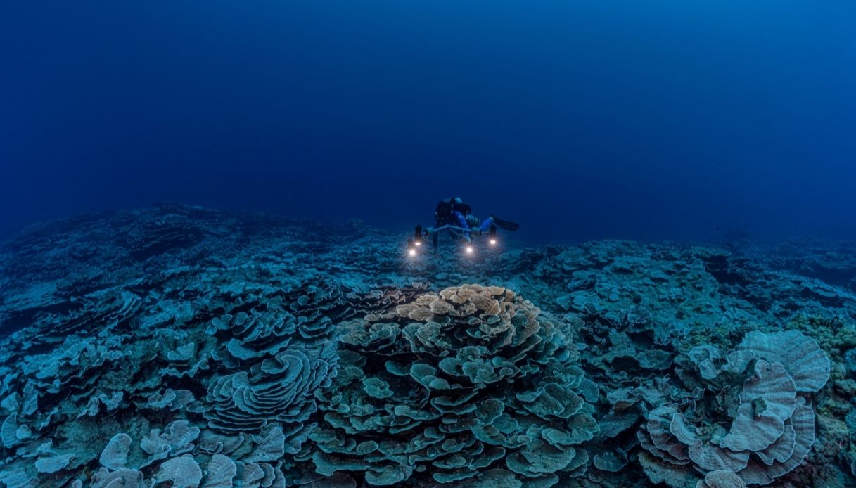 Barriera Corallina scoperta al largo di Tahiti
