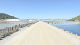 Tra fenicotteri, sale e mare cristallino ti innamorerai (di nuovo) di Ibiza