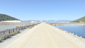 Parc Natural de Ses Salines