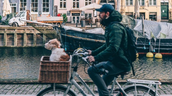 Sposarsi e mangiare in bicicletta: succede in Danimarca