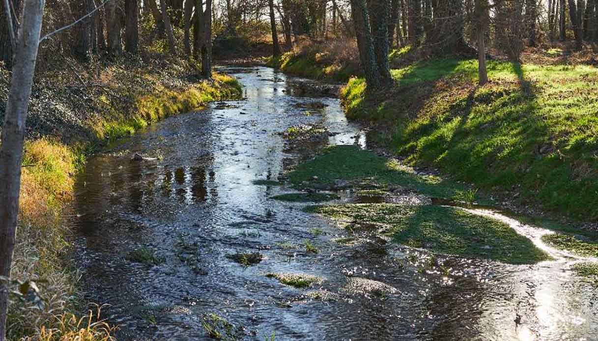 Cammini D Acqua L itinerario Dei Fontanili Cammini D Acqua L itinerario Dei Fontanili