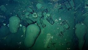 La scoperta incredibile avvenuta in fondo al mare