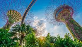 Giardini delle meraviglie: quali fotografare per avere il pieno di like