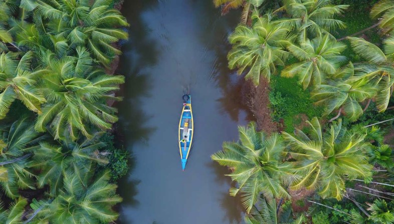 Kerala - Le reti da pesca cinesi attrazione e simbolo di Cochin