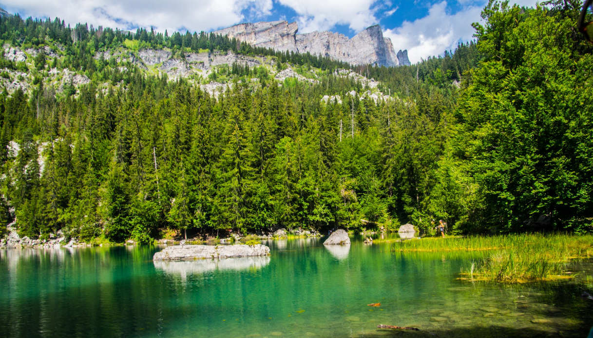 Le migliori esperienze che puoi fare sulle Alpi francesi