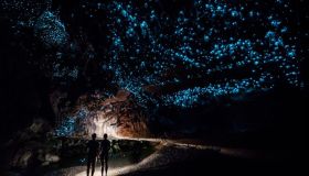 Migliaia di lucciole accendono queste grotte: è magia
