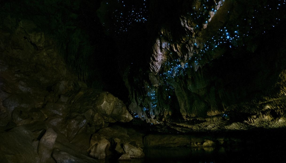 Luci e magia nelle Waitomo Caves