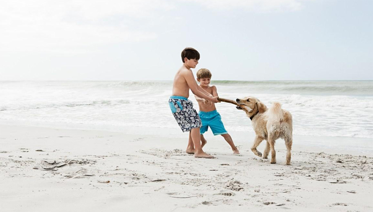 Bambini in spiaggia con il cane