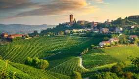 Barbaresco, un borgo del vino da favola