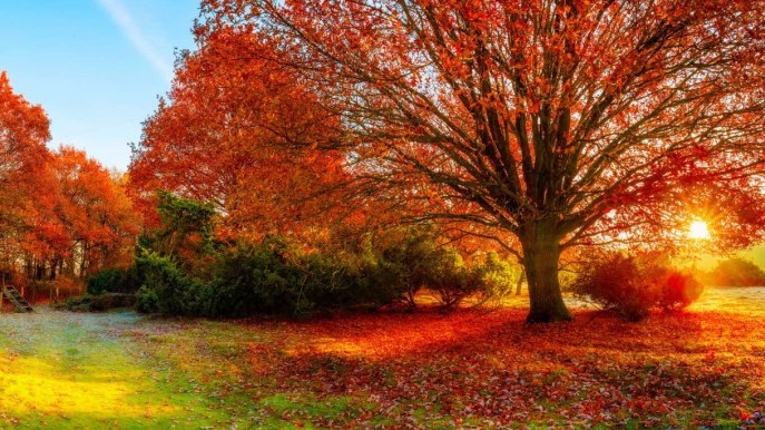 Feste, riti e tradizioni dal mondo per celebrare l’equinozio d’autunno