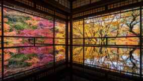 Kyoto i colori dell'autunno in Giappone