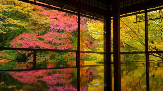La finestra delle meraviglie con vista sull’autunno