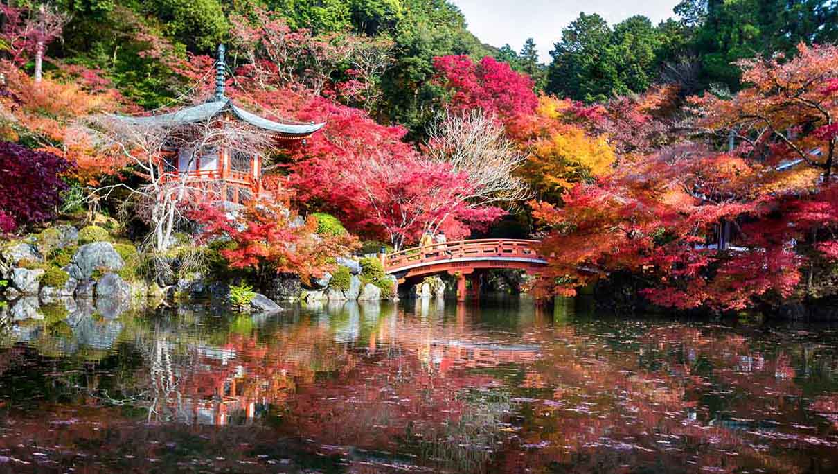 Kyoto in autunno: bellezza e meditazione