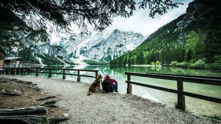 Viaggiare con cane o gatto: nella classifica dei Paesi più pet friendly domina l’Italia