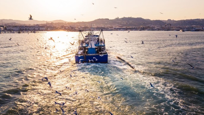 Turismo con i pescatori: per vivere il mare da protagonisti