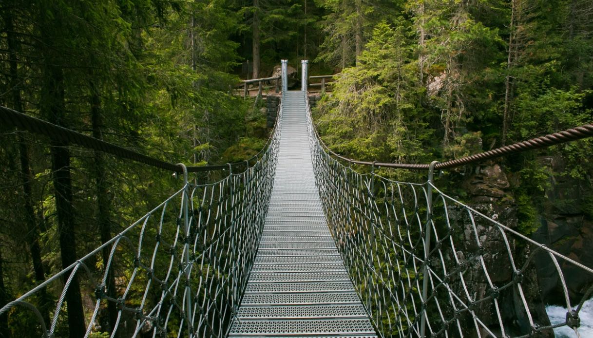 Il bosco italiano che “suona” e che ha rapito Stradivari