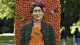 In Germania la magia dell’autunno prende forma in un giardino