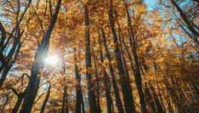 Passeggiate per i Monti Cimini in autunno