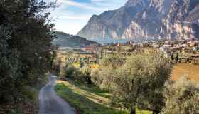 C’è un po’ di Mediterraneo anche tra le Dolomiti