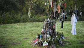 In Francia esiste un albero straordinario: si donano vestiti per guarire