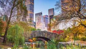 In quali luoghi del mondo stanno girando i tuoi film preferiti?