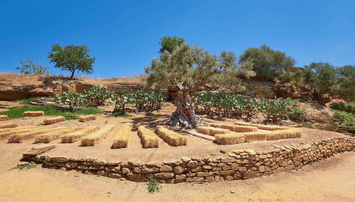 In viaggio per la Valle dei Templi a bordo di un treno storico