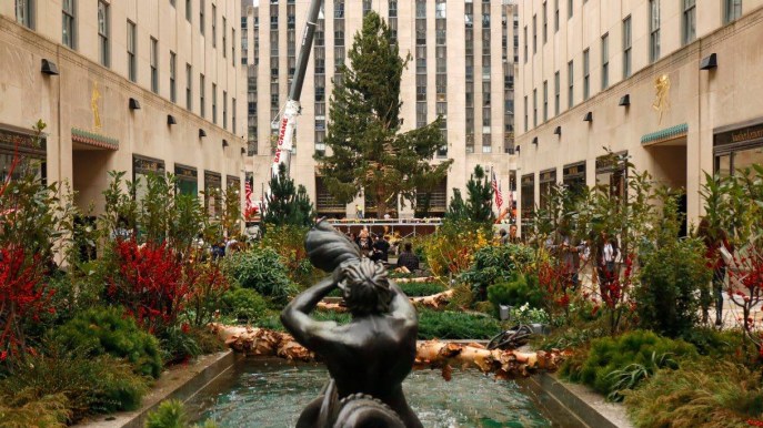 L’albero di Natale è arrivato al Rockefeller Center: tutto pronto per accendere la magia