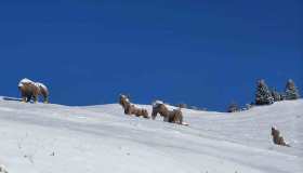 Un museo all’aperto sulle piste da sci