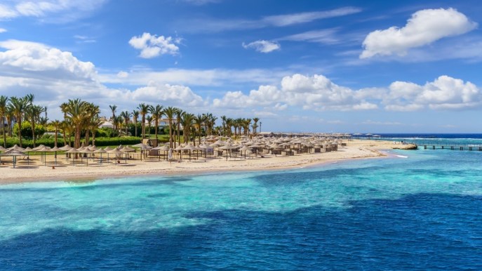 Resort in Egitto cerca biologo marino: il lavoro dei sogni