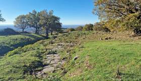 Castelli romani: 6 passeggiate immerse nella natura