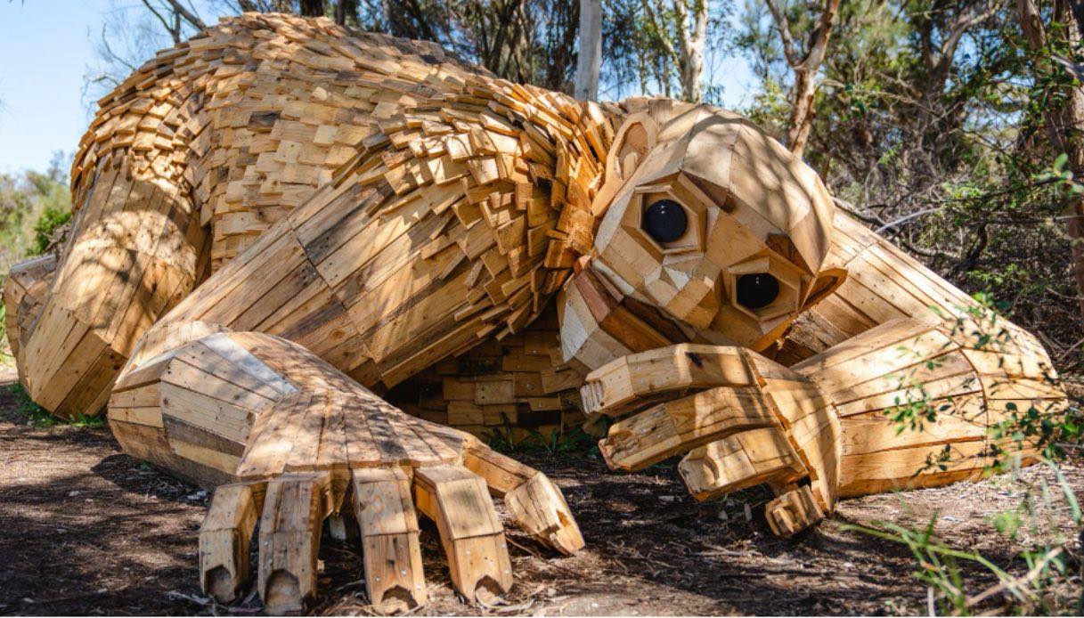 The wooden giant has arrived in Australia