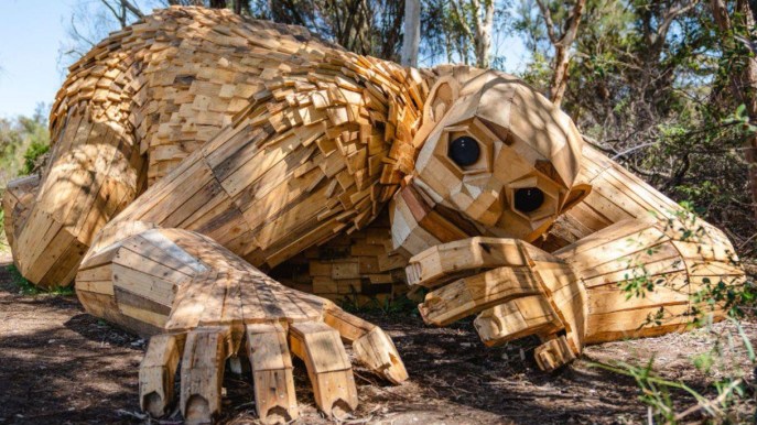 I Giganti di legno sono arrivati in Australia
