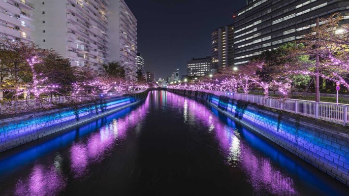 Tokyo si agghinda per le feste: non è mai stata così bella