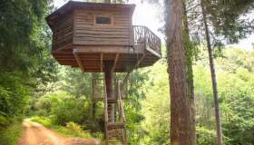 La casa sull’albero disconnessa è l’esperienza che tutti ci meritiamo