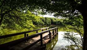 Foresta Umbra, vero gioiello del Sud Italia