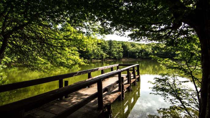 Foresta Umbra, vero gioiello del Sud Italia