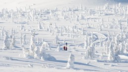 Avventure sotto lo zero: la più bella fiaba sotto la neve si vive qui