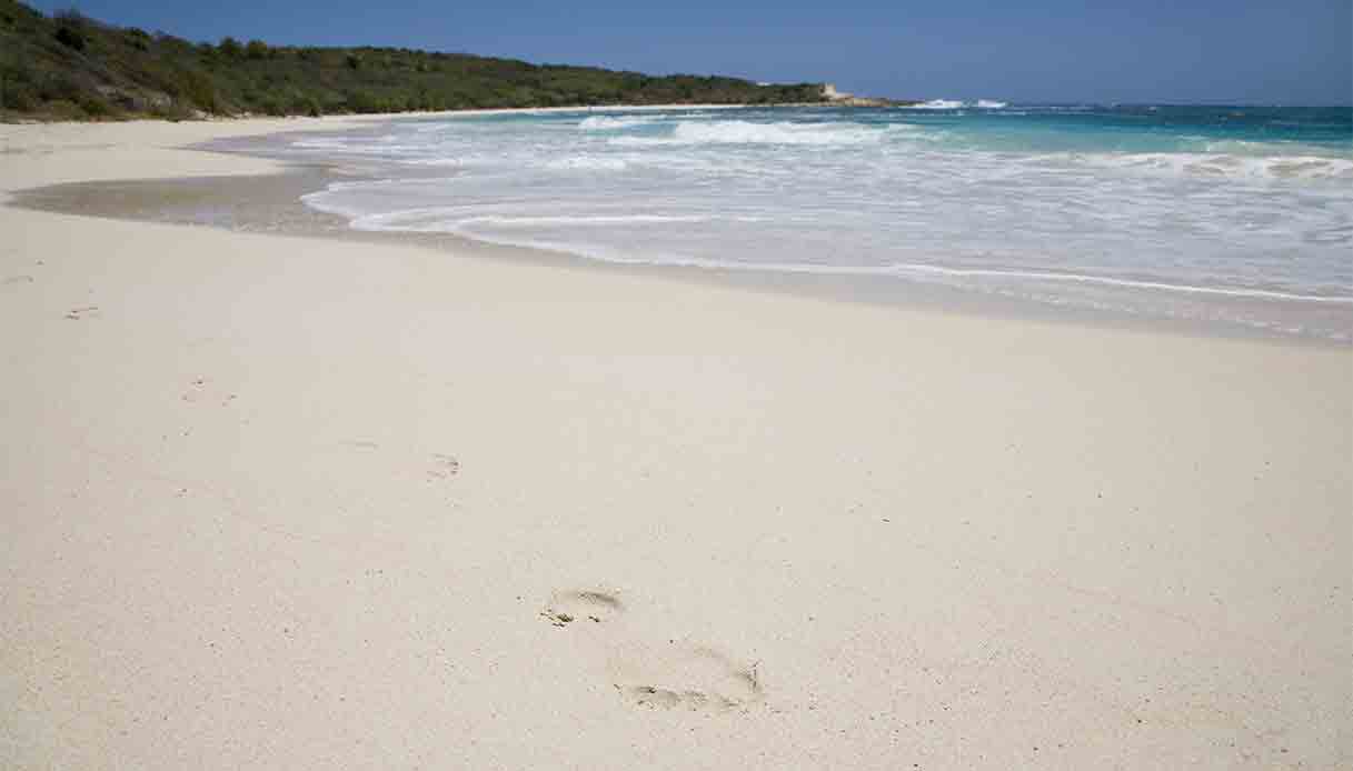 half-moon-bay-antigua