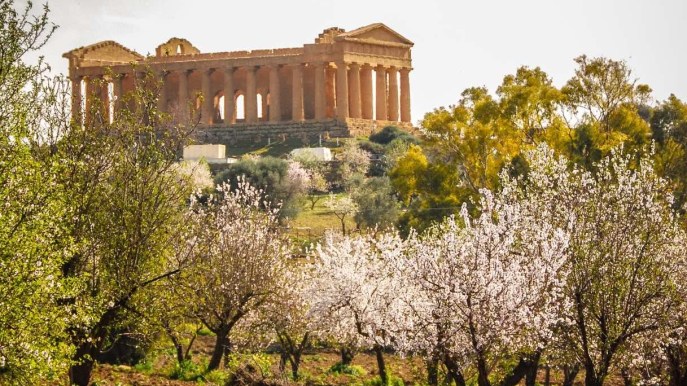 La festa che celebra la prima fioritura dell’anno è in Sicilia