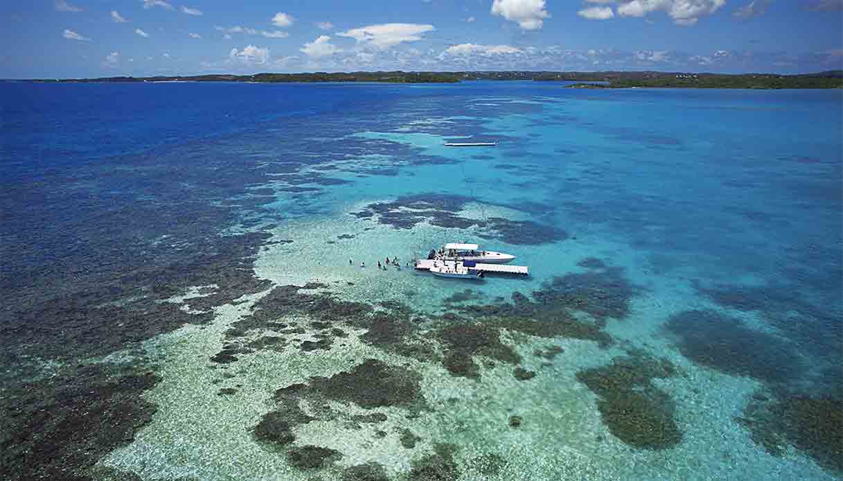 stingray-city-antigua